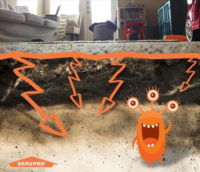 This image shows the dirt that stays trapped underneath the surface of your carpet 