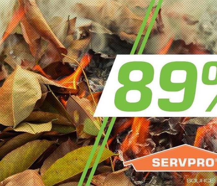 Burning leaves to represent the fact that 89% of all fires are started by humans.